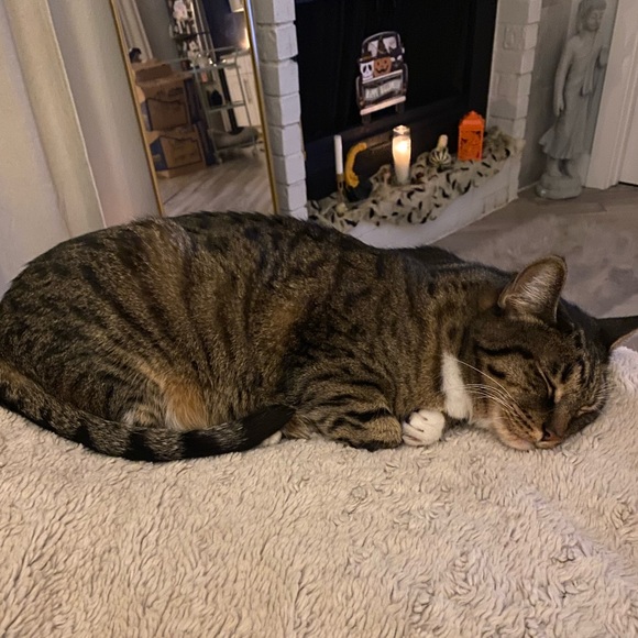 Meet your Posher, Cassandra - Picture 5 of 7